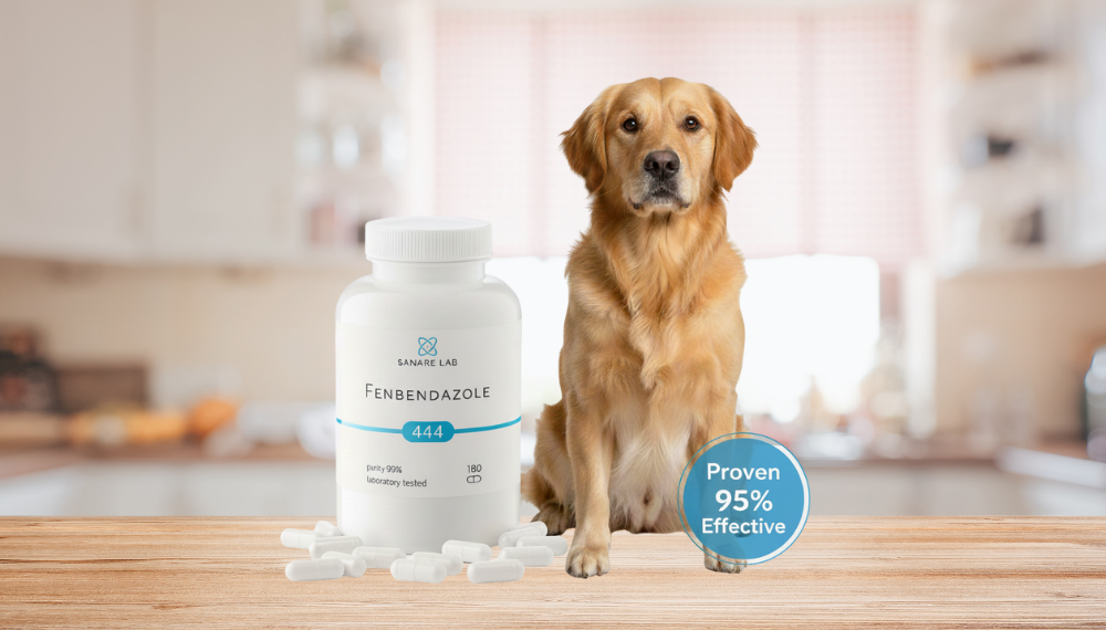 Fenbendazole for Dogs – Proven 95% Effective Against Roundworms and Hookworms